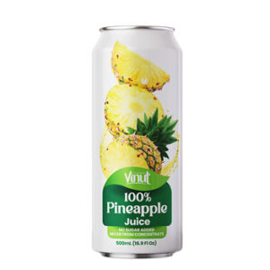 16oz Vinut Pineapple Juice 100% 24CT